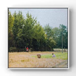 言嘉佑的作品网站
