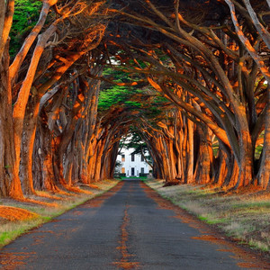 言嘉佑的作品网站
